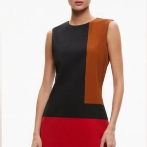 Alice + Olivia Black and Brown Dress